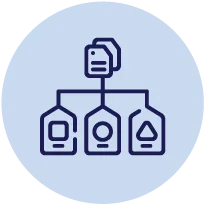 Advanced Classifications and Rules Management