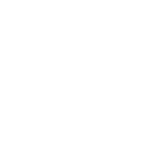 Customer