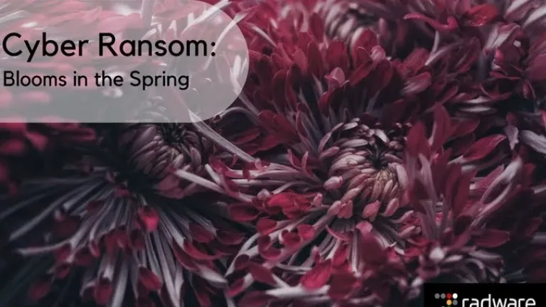 cyber-ransom-blooms-in-the-spring.jpg